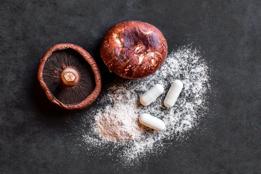Champignons fonctionnels utilisés par MushNGo